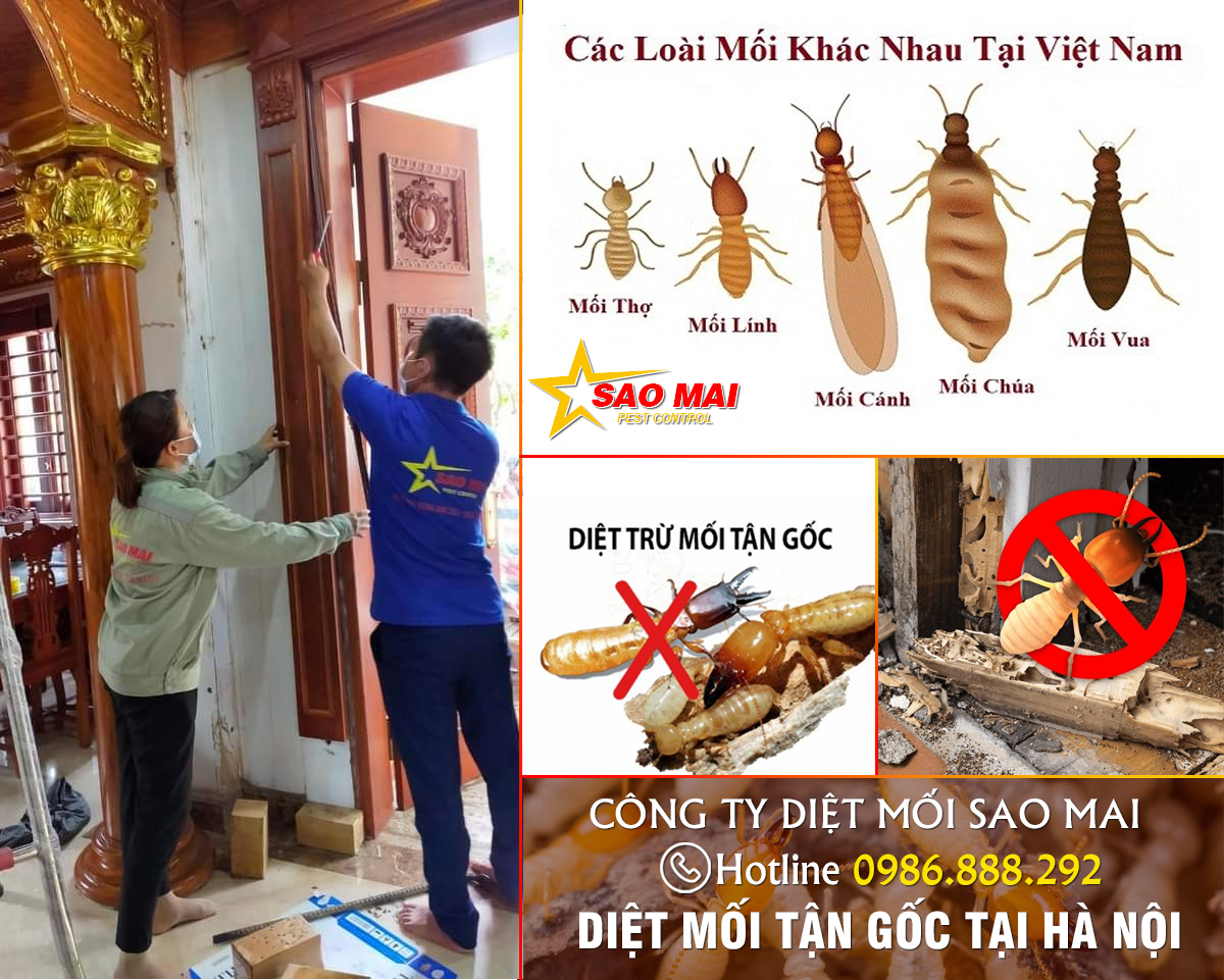 Những con số ấn tượng